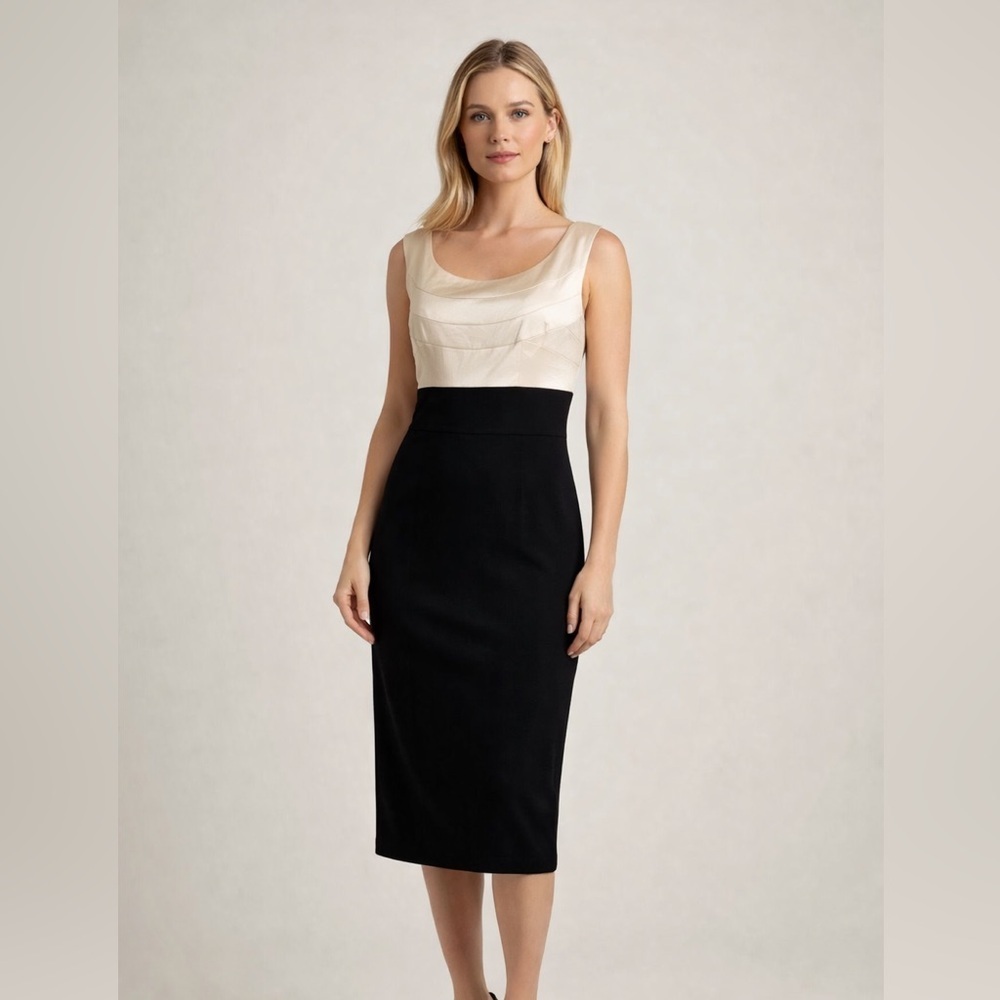 Maggy London Sheath Midi Dress Black Champagne Gold Size 8 sophisticated
